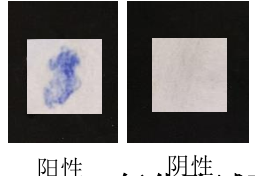 生化篩選實(shí)驗(yàn)