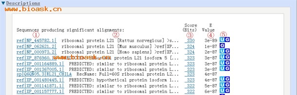 NCBI BLAST比對結果詳細分析