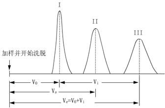 葡聚糖凝膠過濾法測定蛋白質分子量方法